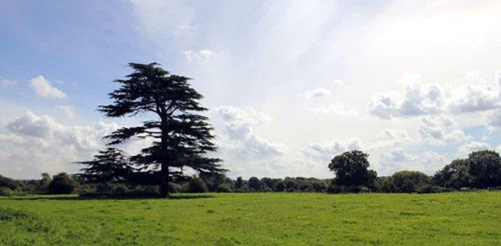 The Coach House Winterbourne Exterior foto
