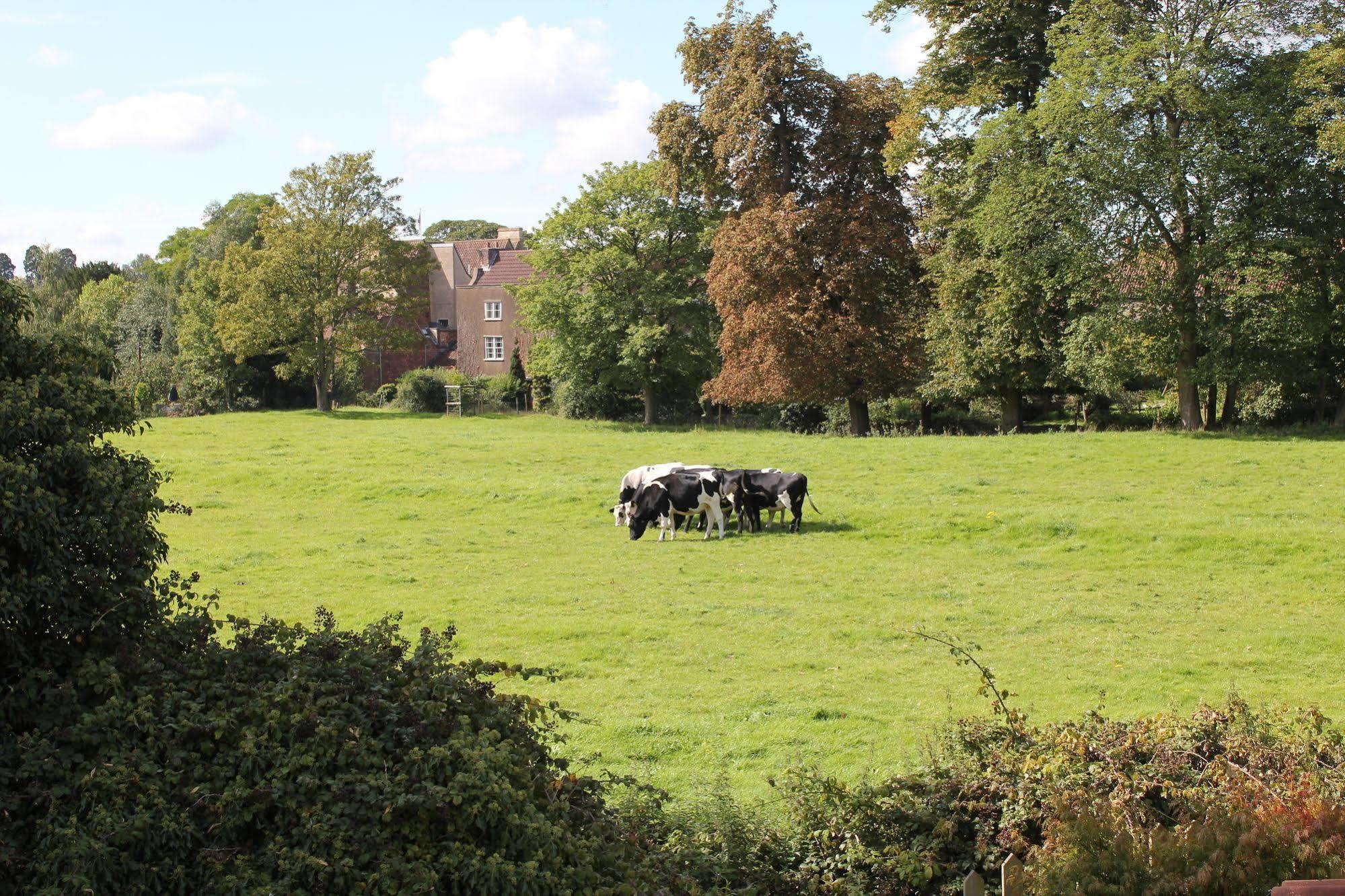 The Coach House Winterbourne Exterior foto